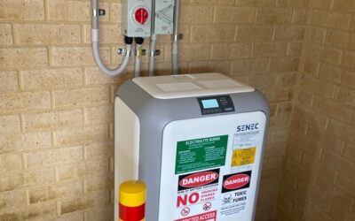 Do You Really Need a Battery? How to Evaluate the ROI on Solar Storage